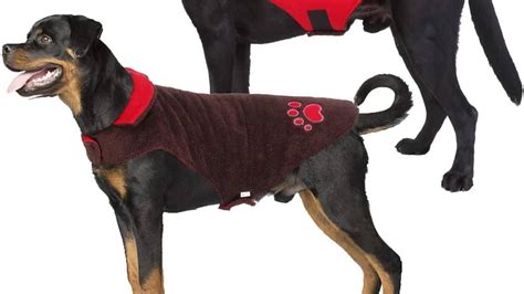 Dog Sweaters For Rottweilers .